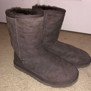 Chocolate Classic Uggs